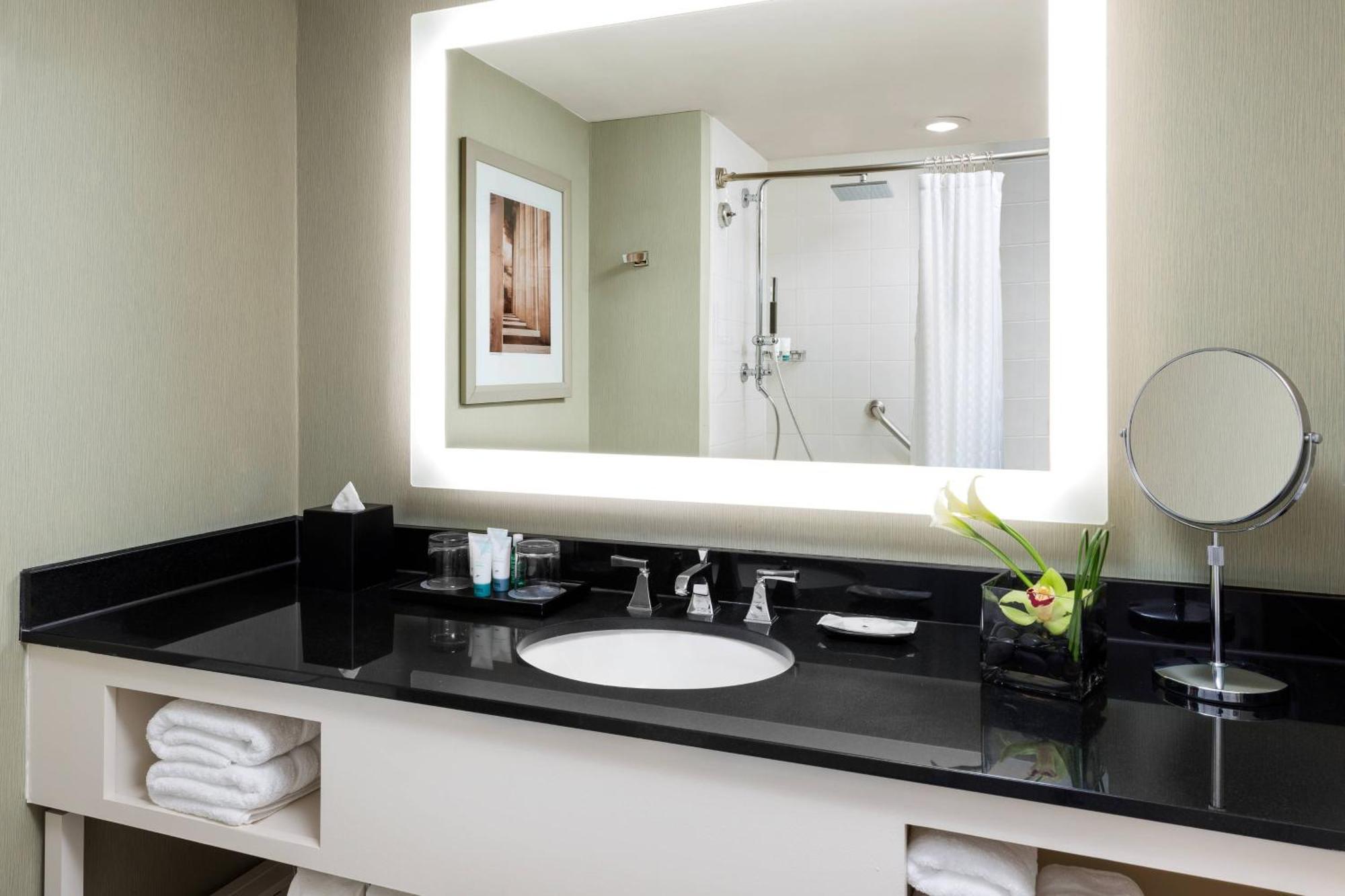 One-Bedroom Executive Suite City View Roll Shower Mobility Accessible